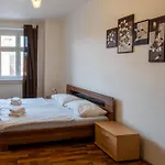Downtown Apartment Prague