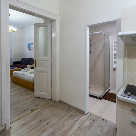 Apartment Downtown *