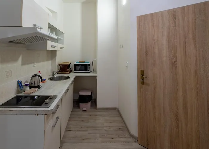 Downtown דירה פראג